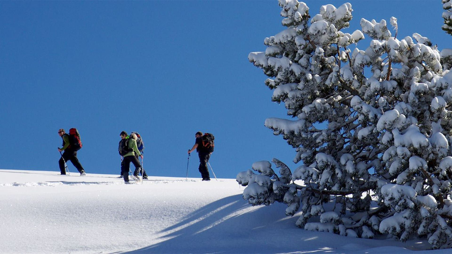 © Raymond Chabanier Randonneurs en raquettes sur l'alpage de la Molière - Vercors - France