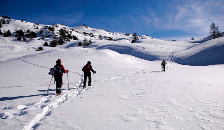 Randonneurs en raquettes sur un versant enneigé - Queyras - Alpes françaises