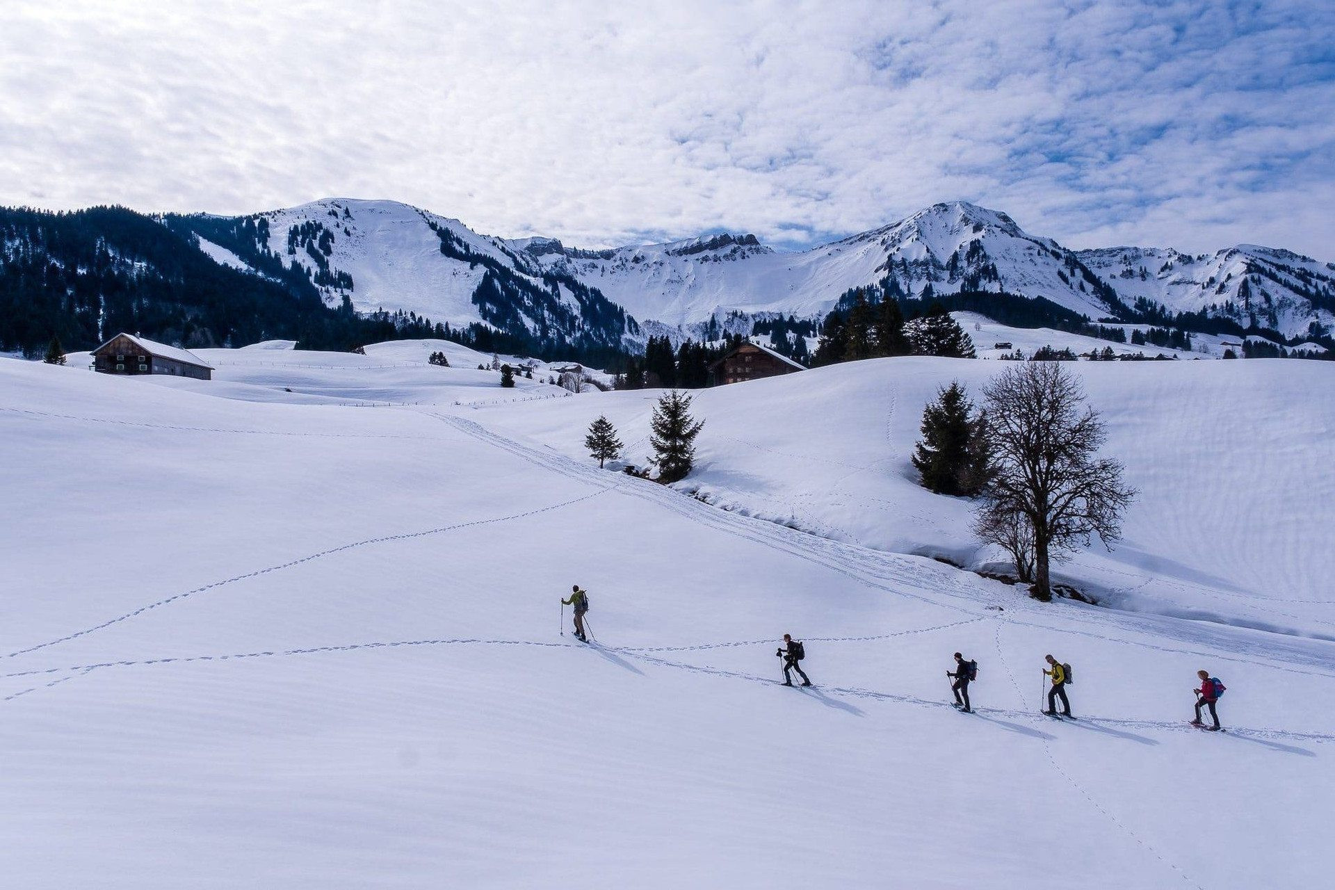 © Grégory Rohart Randonneurs en raquettes sur la plaine enneigée - Bregenzerwald - Autriche