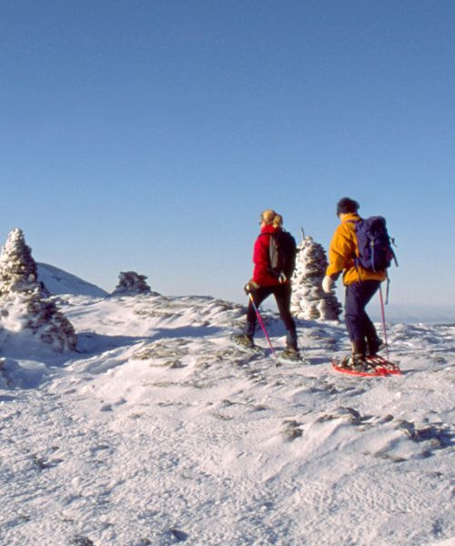 Randonneurs en raquettes sur le plateau enneigé de Font d'Urle - Vercors - France