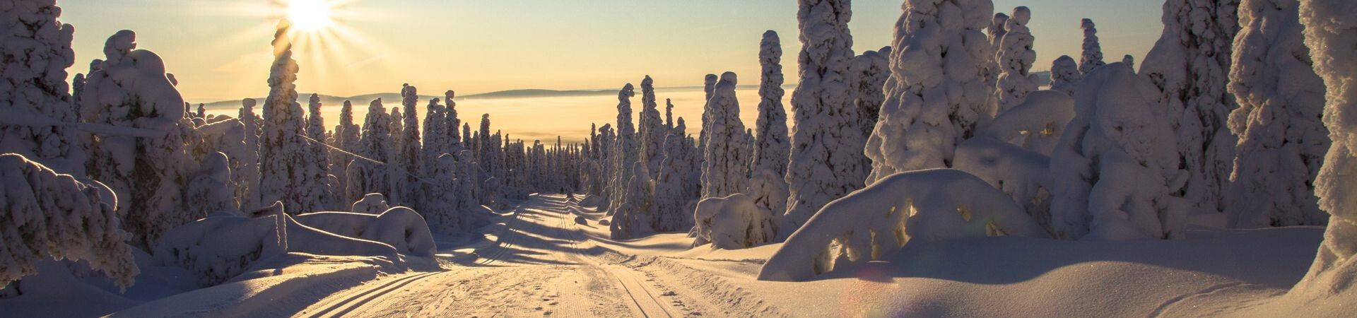 Foret enneigee et soleil couchant - Laponie - Finlande