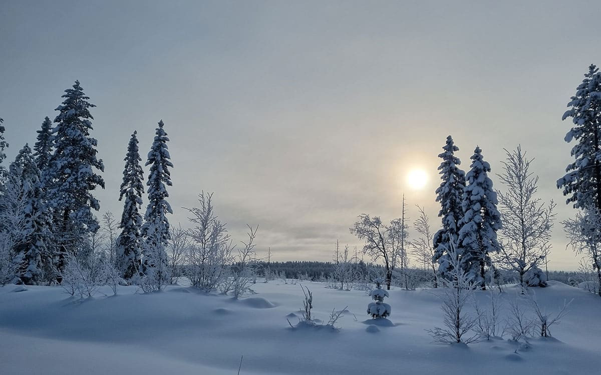 Ski de fond dans le Kainuu : une semaine en Finlande