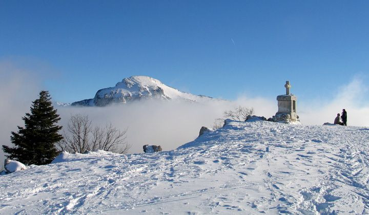 Sommet enneigé au-dessus d'une mer de nuages - Chartreuse - France