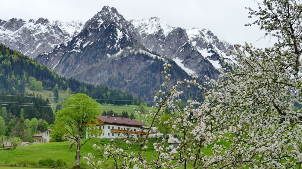 Printemps fleuri et sommets enneigés - Tyrol - Autriche (2)