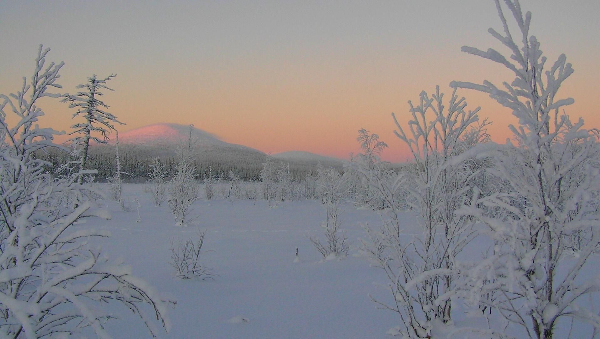 Lever de soleil sur un paysage lapon enneigé - Laponie - Finlande