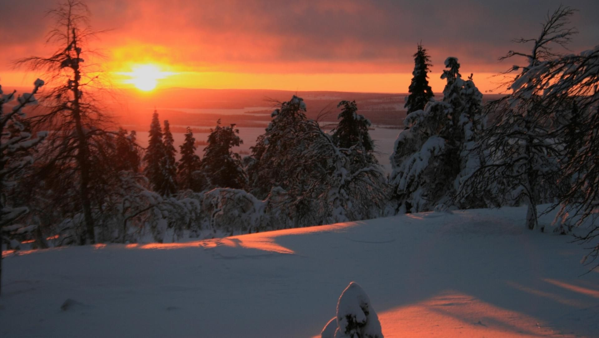Coucher de soleil sur la forêt enneigée - Laponie - Finlande