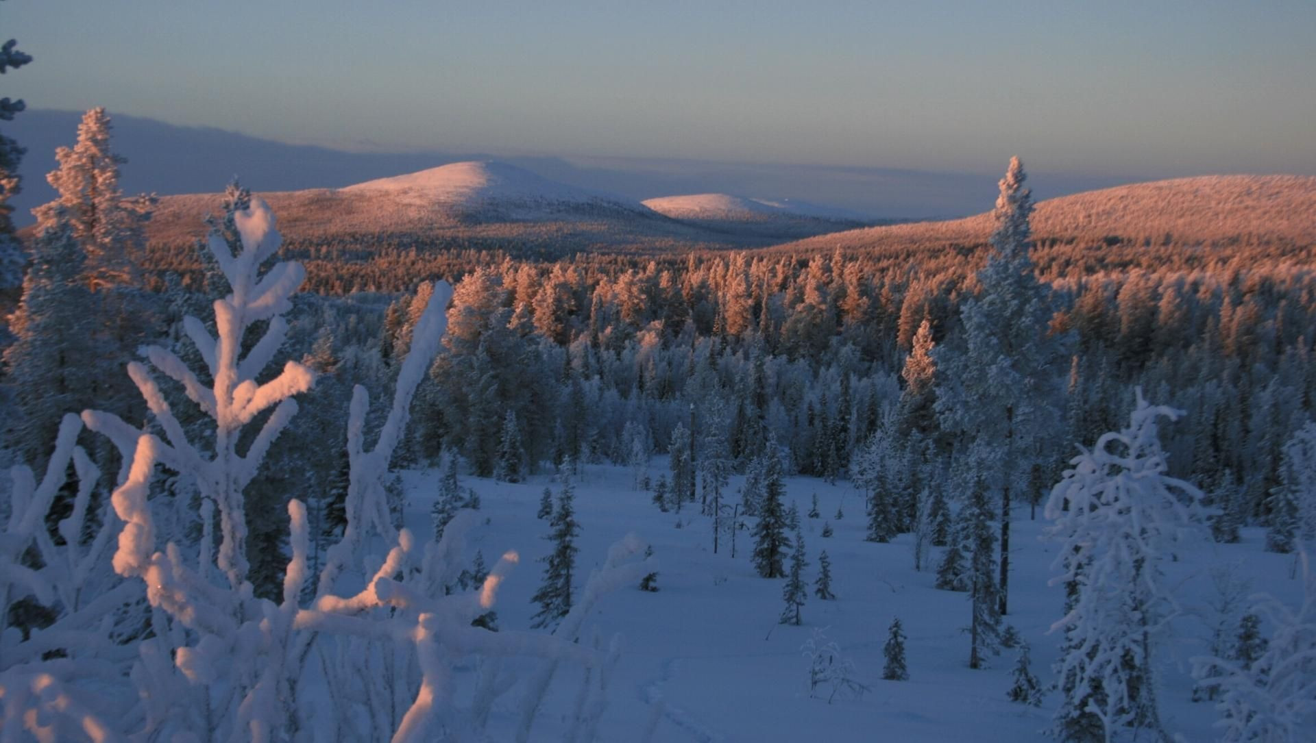 Coucher de soleil sur un paysage lapon en hiver - Finlande