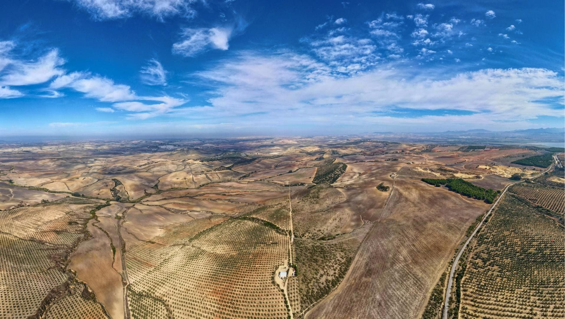 © David Praire Terres et oliveraies près d'Arcos de la Frontera - Andalousie - Espagne