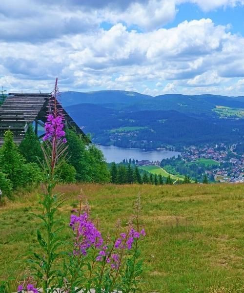 titisee_c_pixabay_.jpg