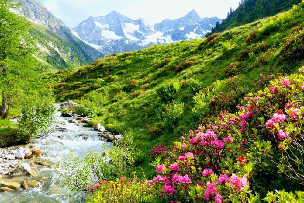 Torrent dans la Zillertal