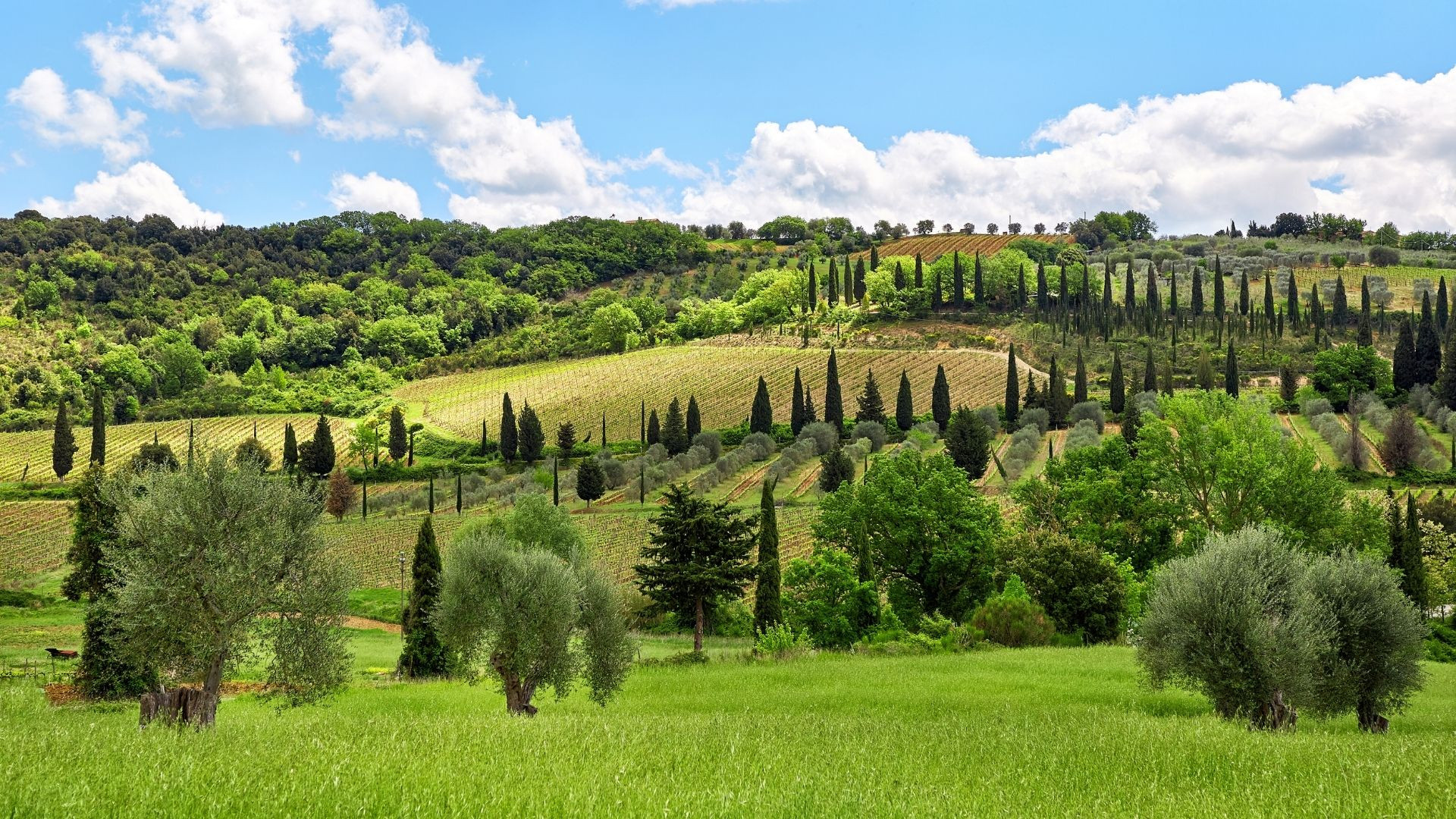 toscane voyagez autrement nature et patrimoine image intro