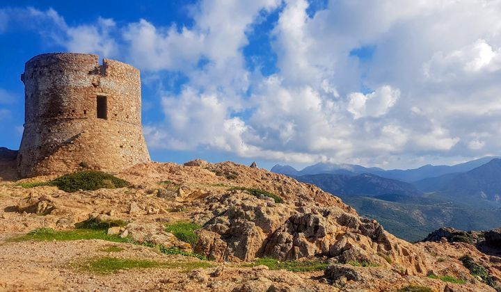 Tour génoise de Turghju sur la côte rocheuse - Corse - France