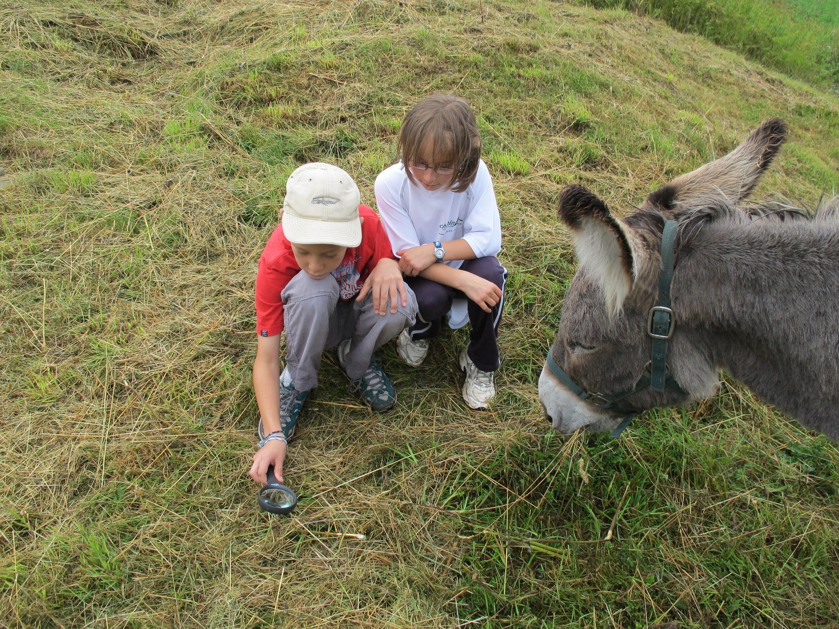 traces-indices-decouvrir-biodiversite-preservee-amusant-PSaintjean