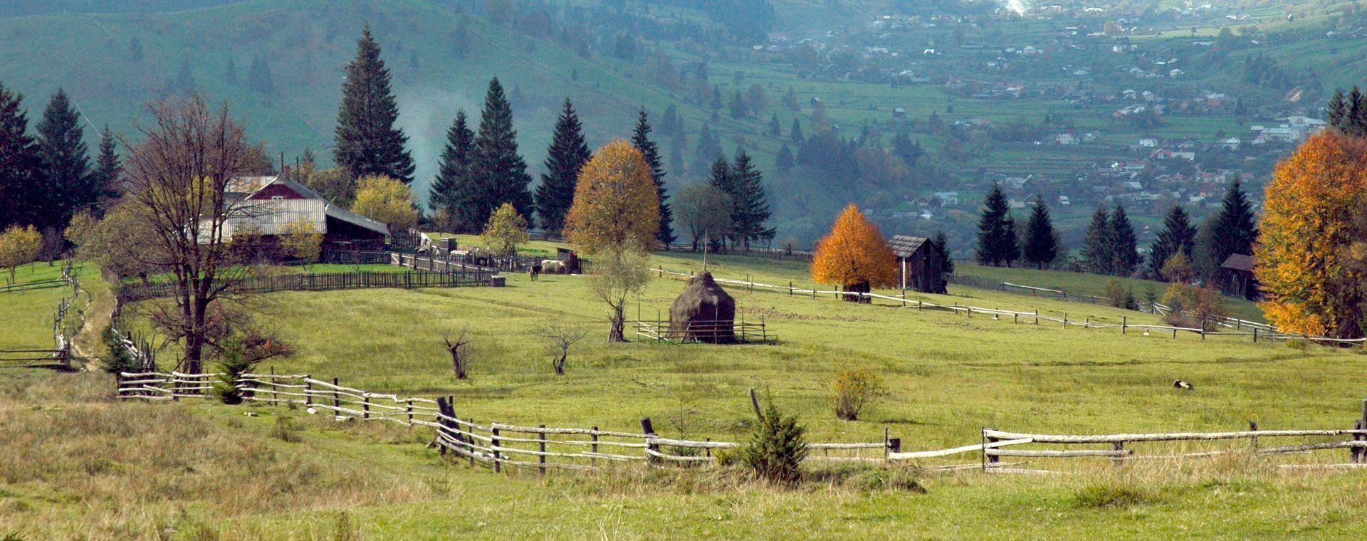 Fermes et clôtures de bois dans la campagne automnale - Maramureș, Carpates - Roumanie