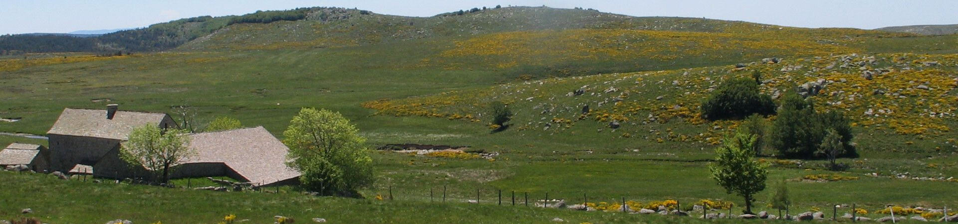 Ferme traditionnelle et prairies fleuries - Cévennes - Massif Central
