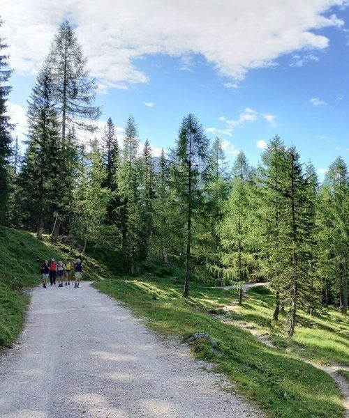 © Wilfrid Valette Sentier du refuge Dibona - Dolomites - Italie