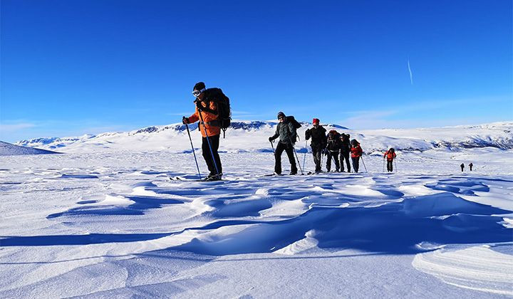 Traversée à ski nordique en file - Hardangervidda - Norvège