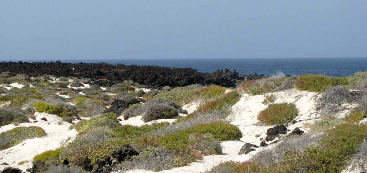 Un peu de sable blanc au milieu d'un océan de noir