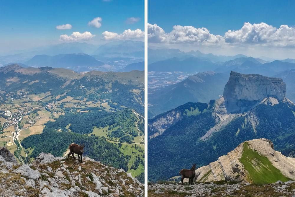 © Adrien Ozanon Une etagne au sommet du Grand Veymont © Adrien Ozanon