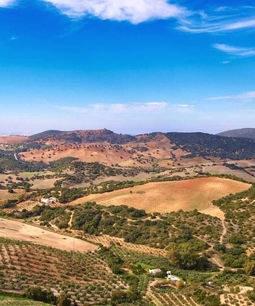 © David Praire Vers Puerto Serano à vélo - Andalousie - Espagne