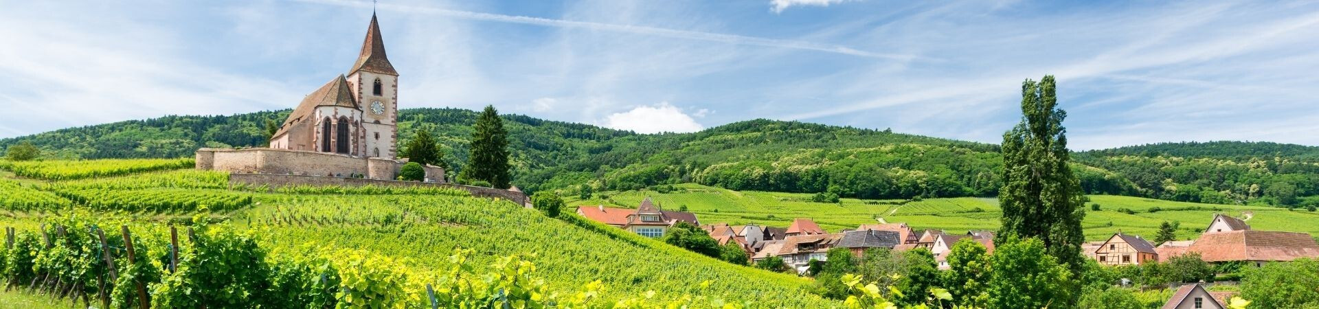 Village et église fortifiée au milieu des vignobles - Alsace - France
