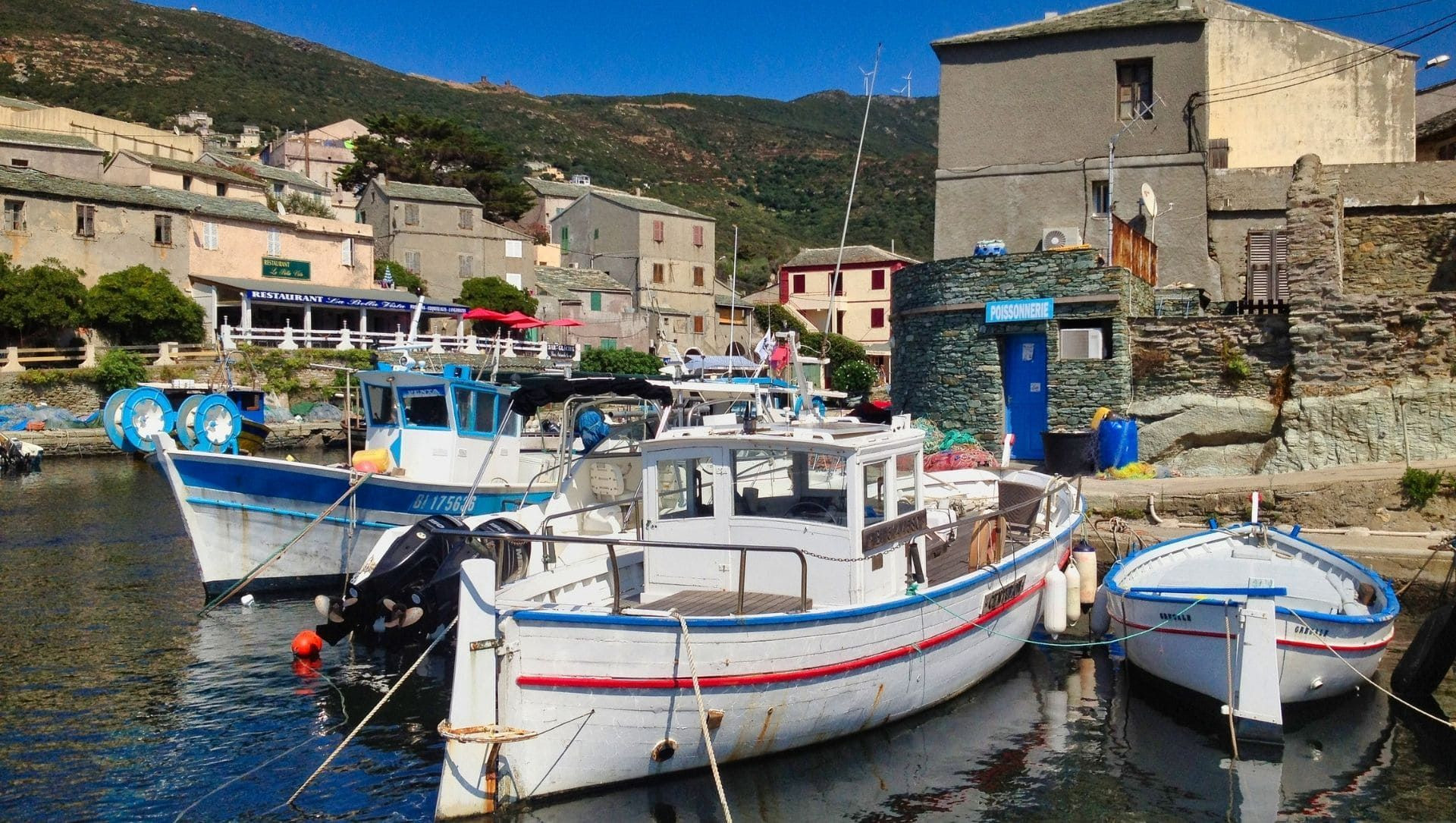 Bateaux de pêche au port de Centuri - Cap Corse - Corse - France