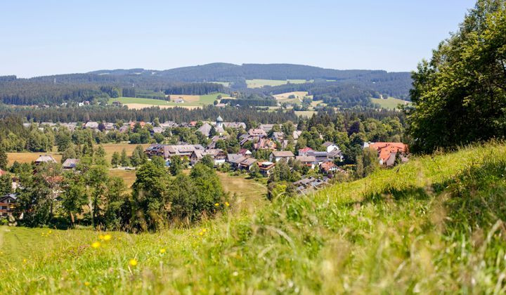 Village de Hinterzarten dans la vallée - Forêt-Noire - Allemagne