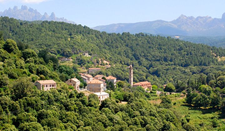 Village de Levie niché dans les collines boisées de l'Alta Rocca - Corse - France