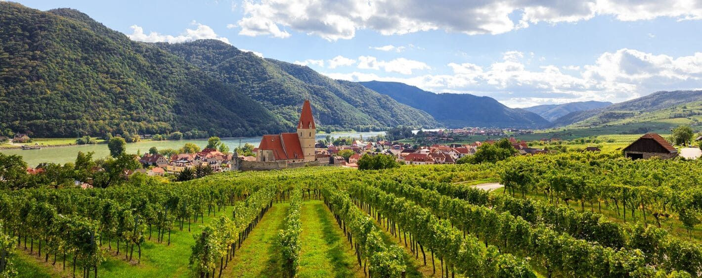 Village de Weissenkirchen et vignobles de la Wachau - Danube - Autriche