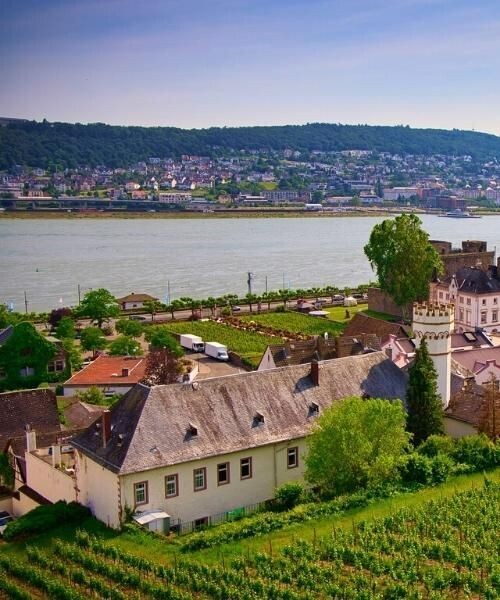 Vignobles et village de Rüdesheim - Vallée du Rhin - Allemagne