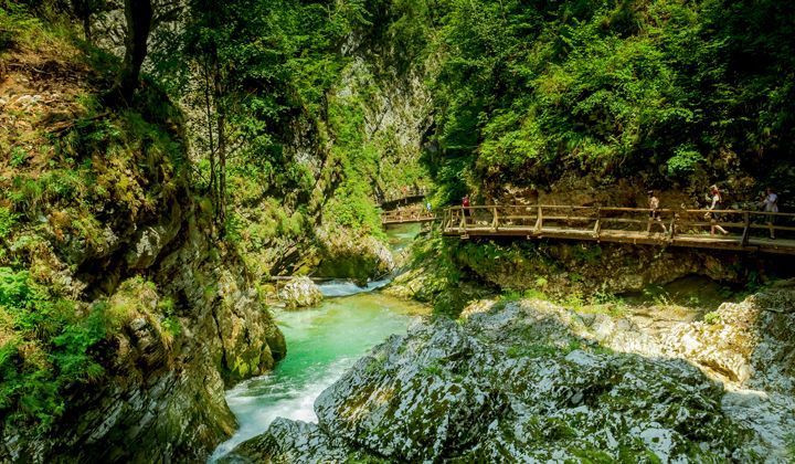 Passerelle en bois dans les gorges de Vintgar - Slovénie