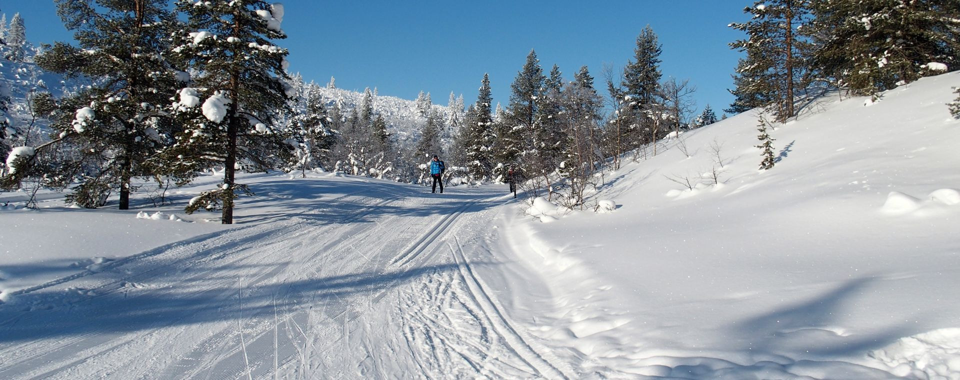 Skieur de fond sur piste forestière - Saariselkä - Laponie - Finlande