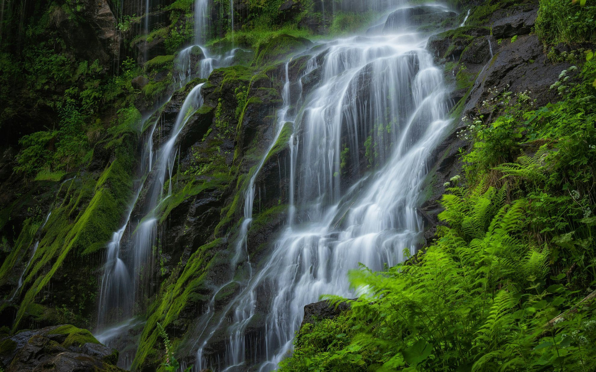 Cascade en forêt moussue - Forêt-Noire - Allemagne