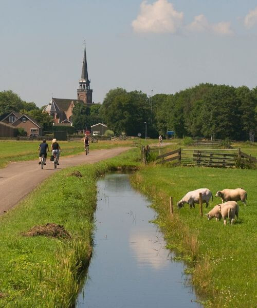 Paysage du Waterland - Pays-Bas