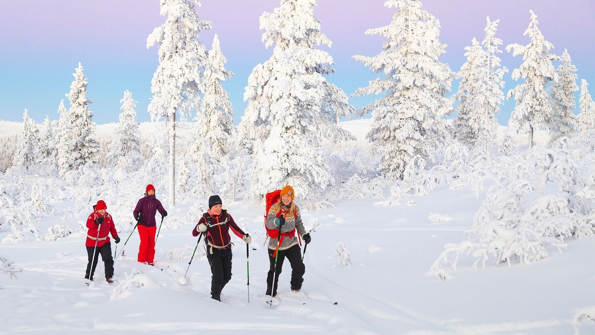 Ou partir pour le ski, différence entre tous les skis