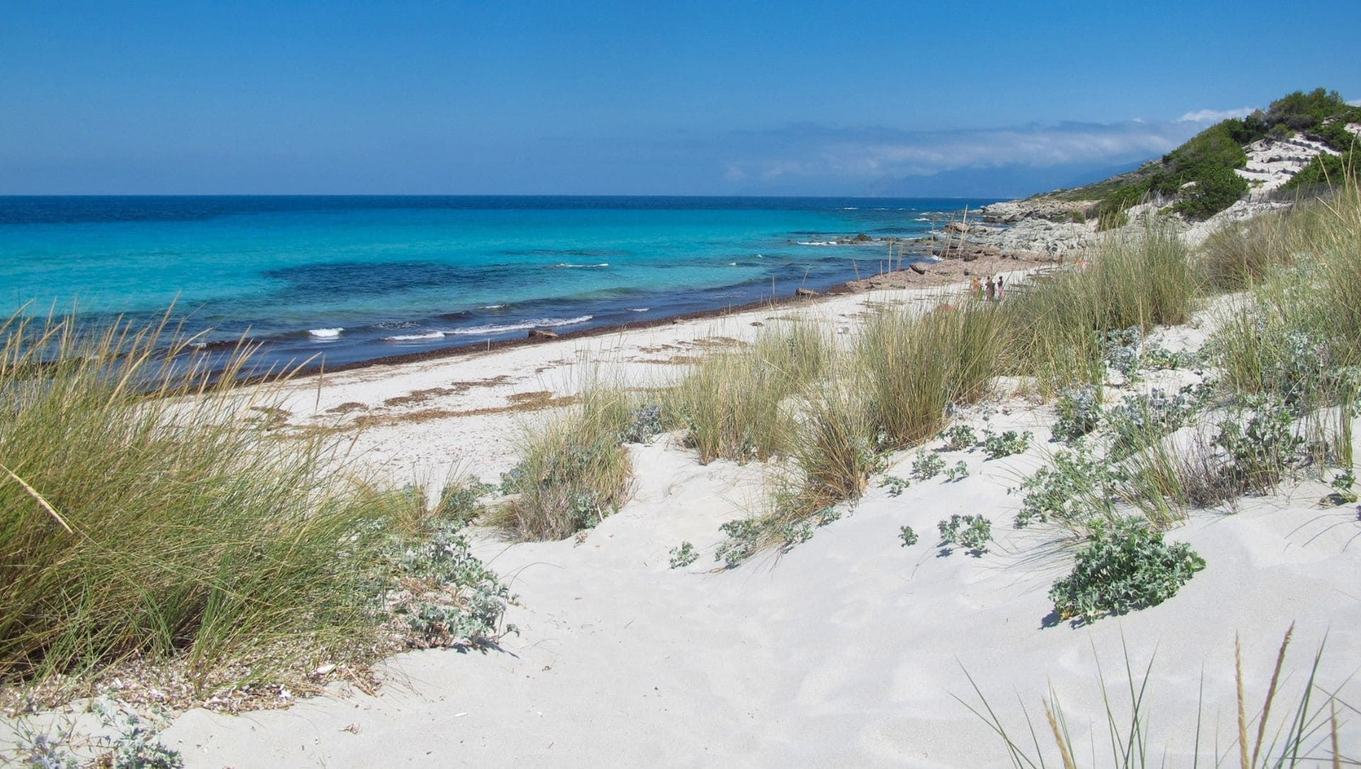 Plage sauvage et dunes - Cap Corse - Corse
