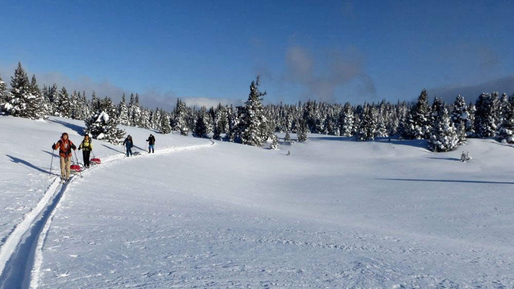 Ski de randonnée nordique en hiver - Vercors - France
