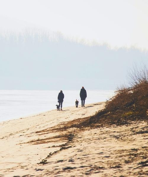 Promenade hivernale sur une plage de sable au bord d'une rivière brumeuse - Europe