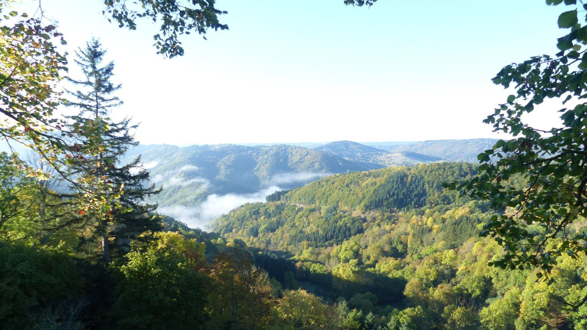Collines boisées et brume matinale - Chemin de Saint-Jacques, voie du Puy - France