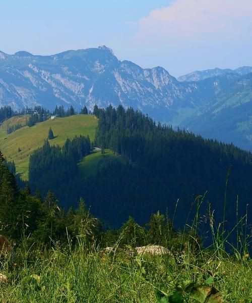 zwieselalm_c_unsplash_.jpg