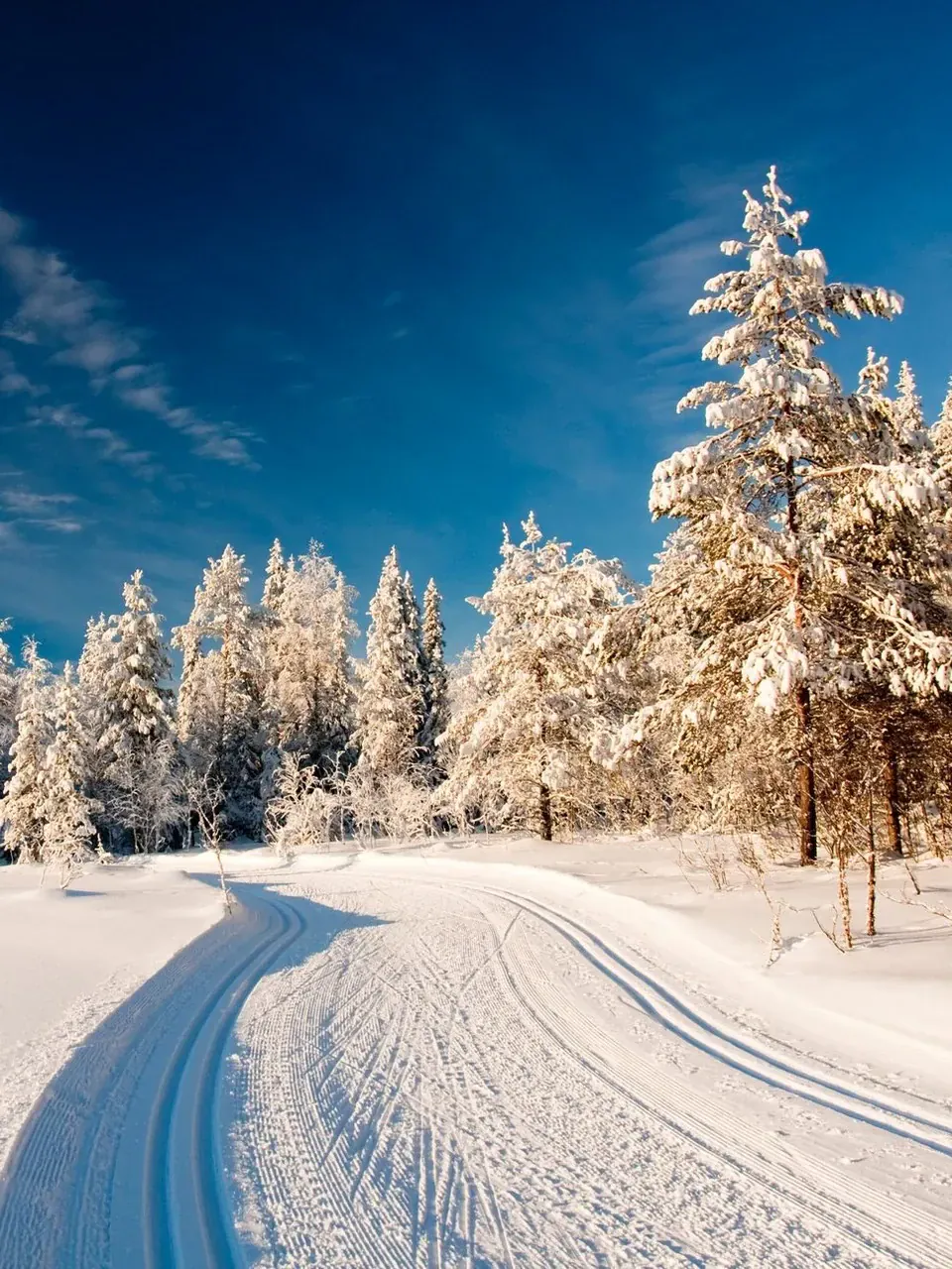 L'hiver