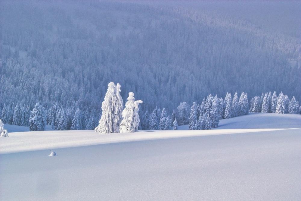 Crêtes du Schauinsland © Raymond Chabanier