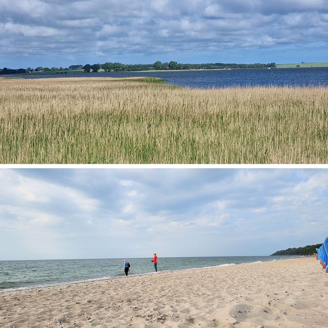 Le Bodden (lagon) et sa végétation ; Rügen (en haut) et les couleurs lavées de la Baltique © Anne-Marie Billault
