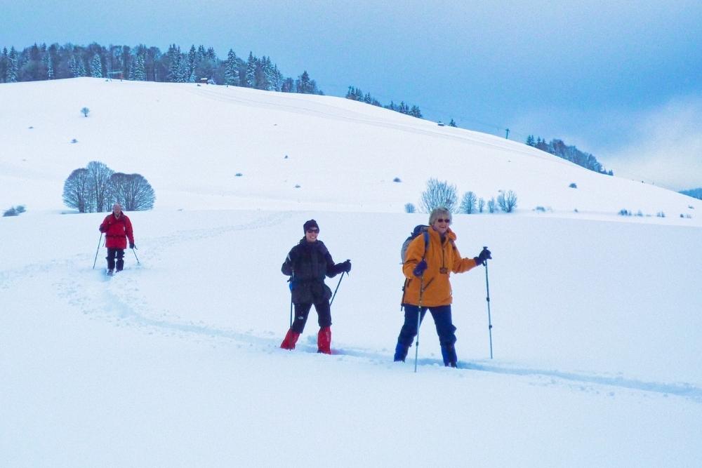 Randonnée en Raquettes à Neige - Forêt Noire en Allemagne