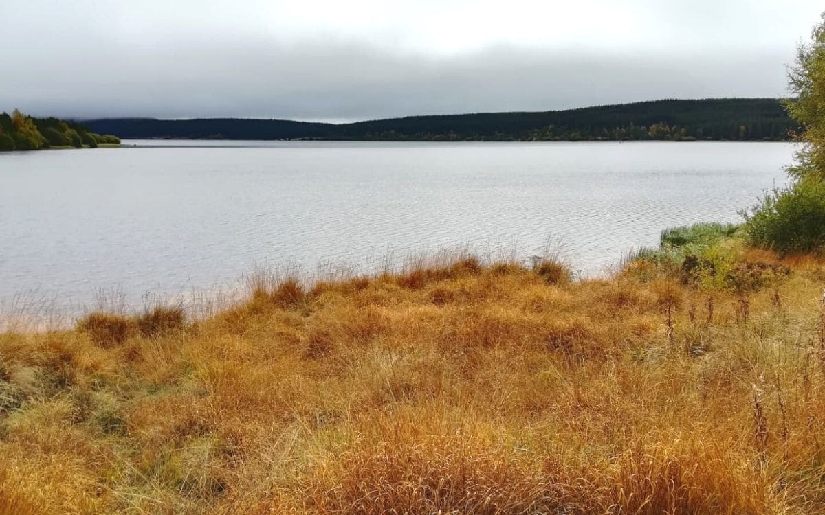 Lac de Charpal (Lozère)