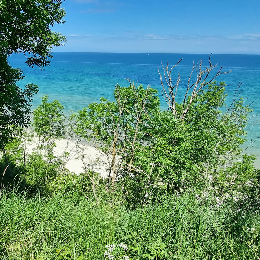 Les belles couleurs de Rügen © Anne-Marie Billault