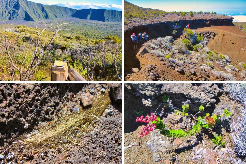 Enclos du Piton de la Fournaise, randonnée près des failles, cheveux de Pélé & flore volcanique © Yvonne Toussaint