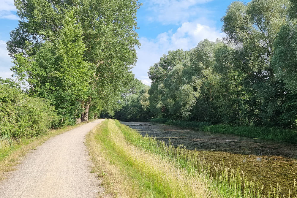 Canal de Guestrow - Buetzow © Anne-Marie Billault