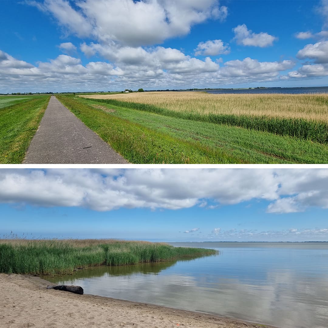 Le long du Bodden © Anne-Marie Billault