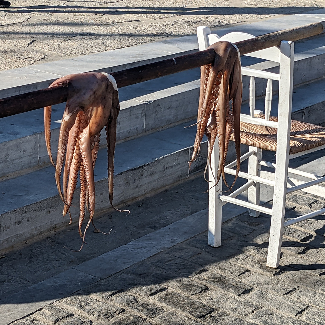 Poulpes à Naoussa - paros © Cécile Hénard